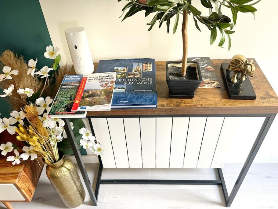 Appartamento Loasis - Duplex T4 Hypercentre Villefranche-sur-Saône Esterno foto